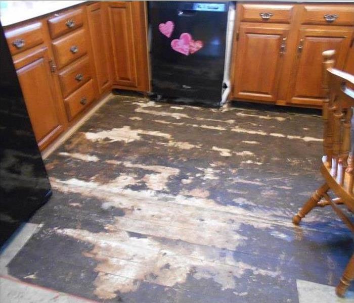 A picture of a kitchen after clean up of water damage.