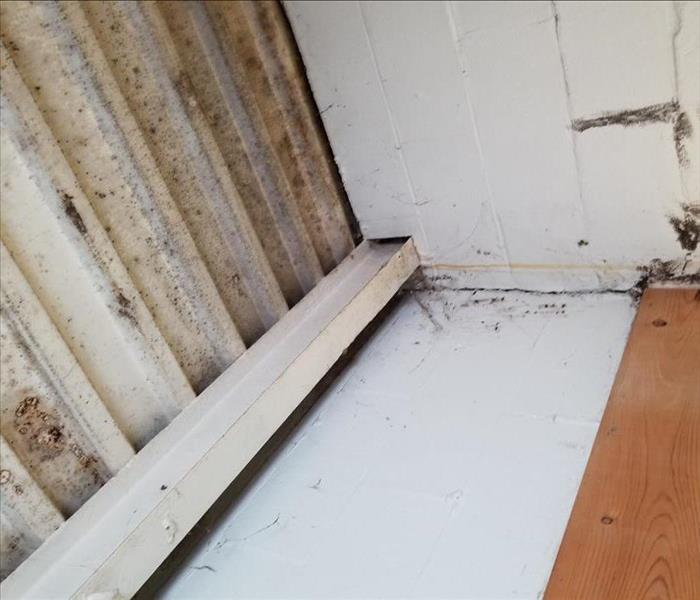 Mold found in a storage room at Pleasant Valley Community church