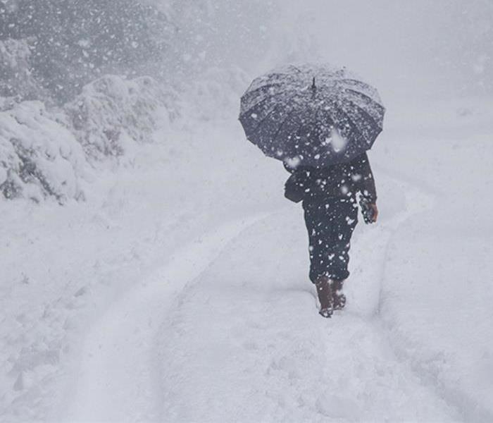 A Picture of Snow Fall with someone walking using an umbrella.